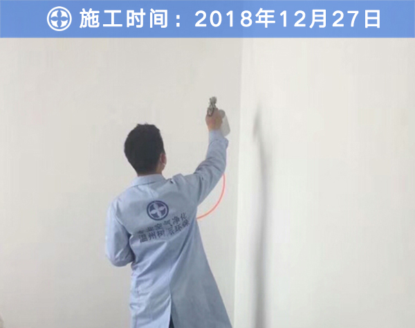 樹派除甲醛客戶案例